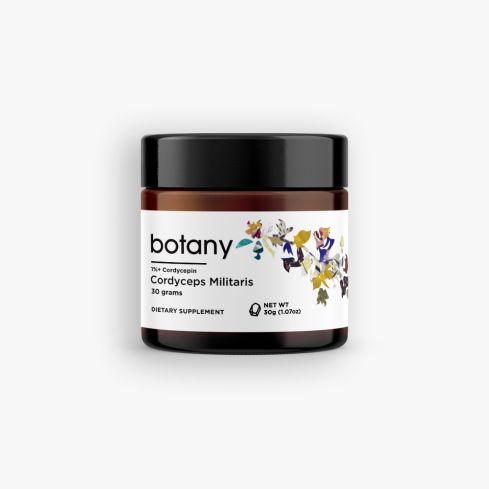 Caterpillar Fungus (Cordyceps Militaris) | 1%+ Cordycepin - Powder, 30g