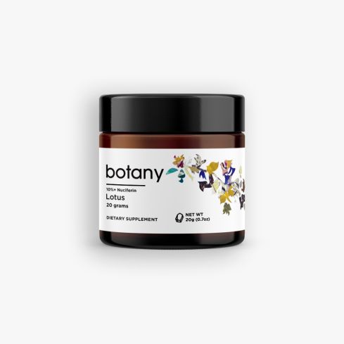 Lotus (Nelumbo Nucifera) | 10%+ Nuciferin - Powder, 20g